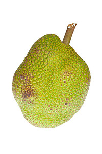罗汉果甜苷白色背景上孤立的Jackfruit背景