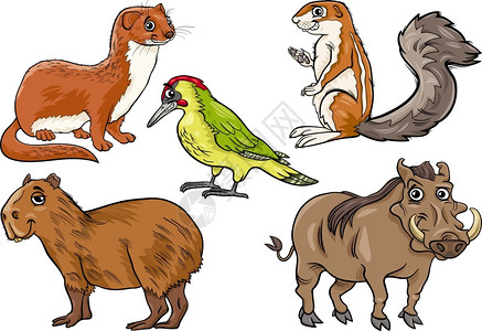 施乐疣猪水獭松鼠水豚漫画插画