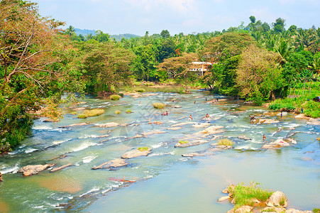 在斯里兰卡的山河中游泳当地人图片