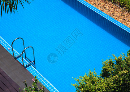 暑假蓝游泳池图片