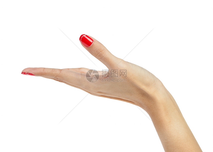女用手抓着孤立的白色手图片