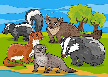 臭鼬有趣的哺乳动物插画