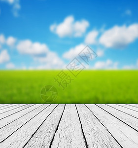 春青草绿色布基阳光和木地板图片