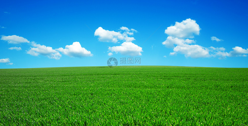 夏草和明蓝的天空图片