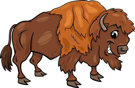 滑稽野牛或美国兽的漫画插图图片