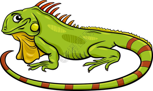 绿色蜥蜴蜥蜴爬行动物插画