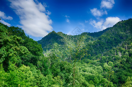 烟囱高在山顶烟雾浓密的山坡上高清图片