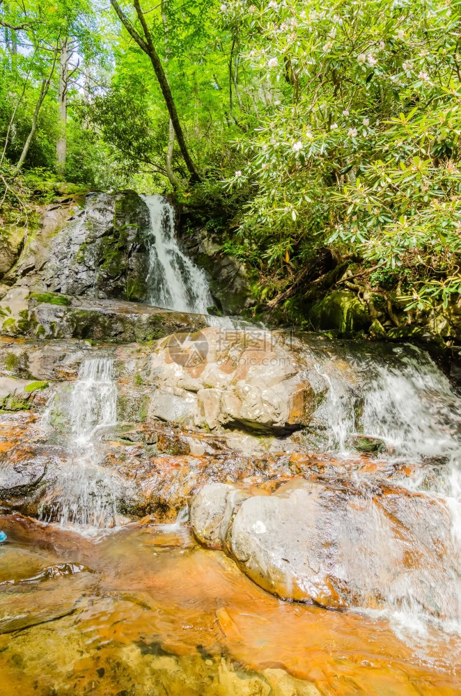 大烟山公园的月桂树瀑布图片