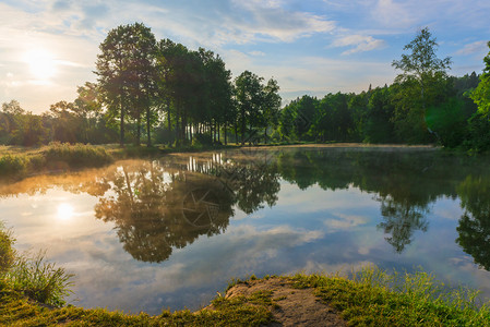 清晨的树林与湖泊背景图片