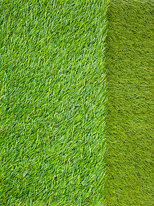 人工草地日本绿色图片