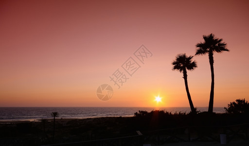日落与棕榈在贝罗斯沙滩cadiz西班牙高清图片