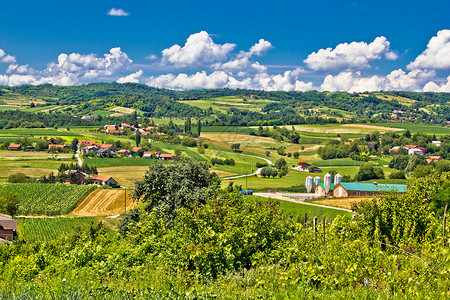 在frigoje地区coati的农村绿地景观图片