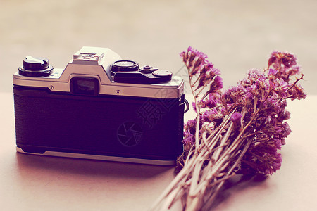 旧相机和带回溯过滤效果的花朵图片