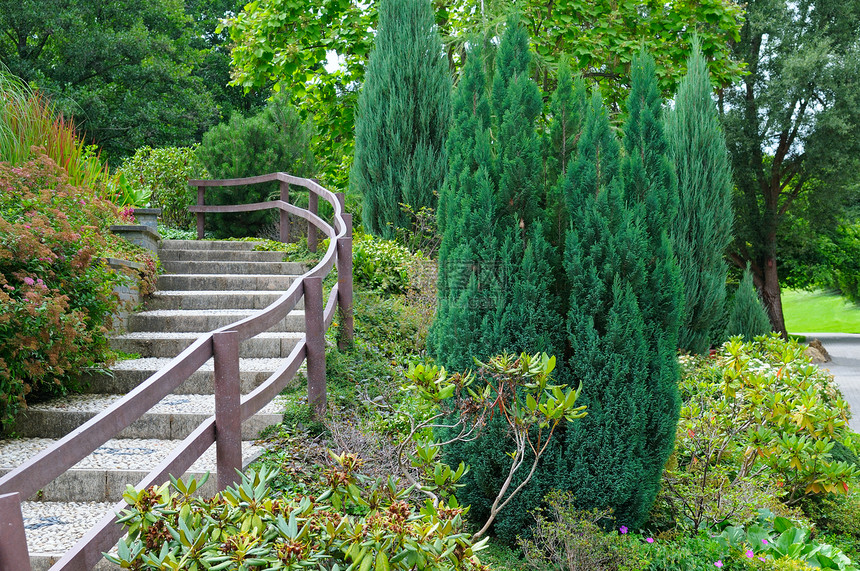 带楼梯和灌木的舒适公园图片