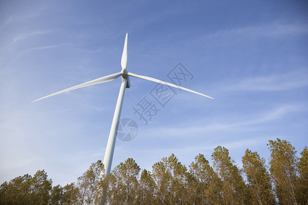 与Holand树上蓝天相对的风涡轮机高清图片