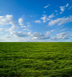 北饮泉泉草的面积背景