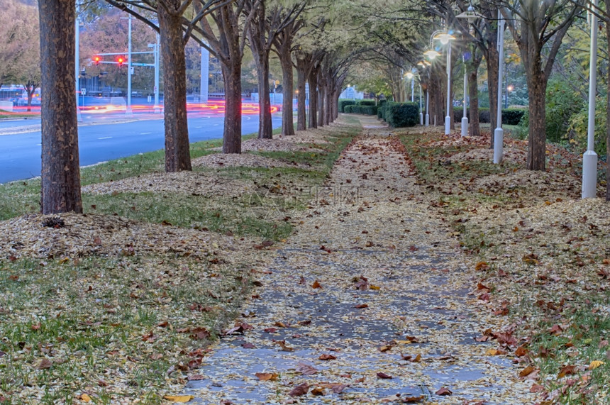 沿路的秋天小巷图片