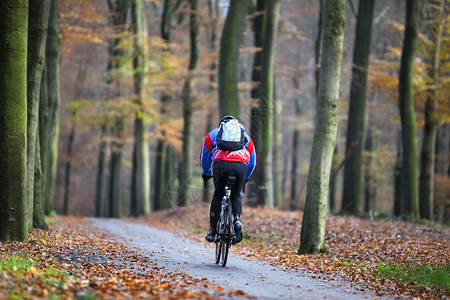 男人骑自行车在秋天的森林里图片