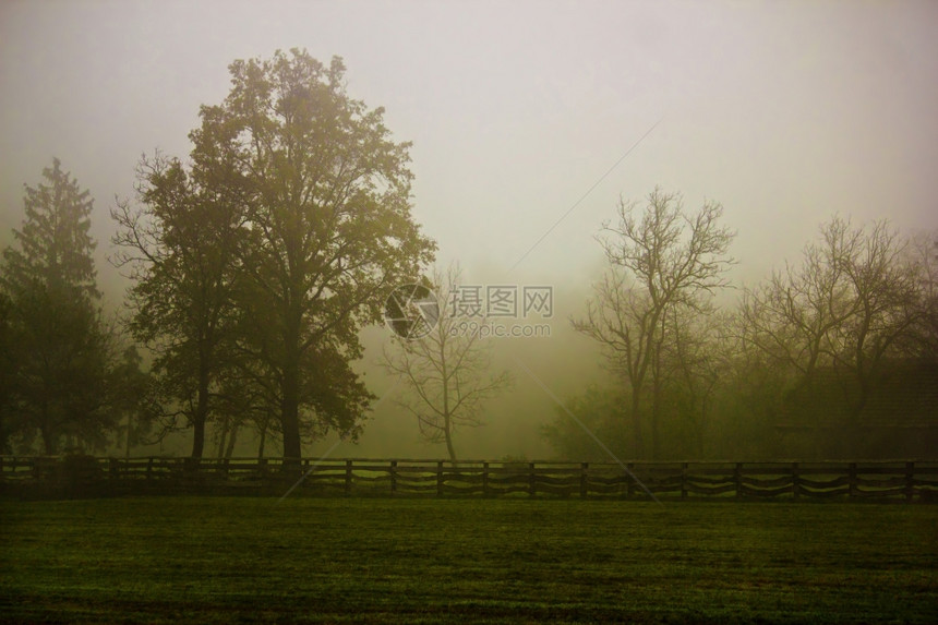 早晨雾中的乡村
图片