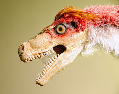 恐龙头在一个jurasic恐龙博物馆图片