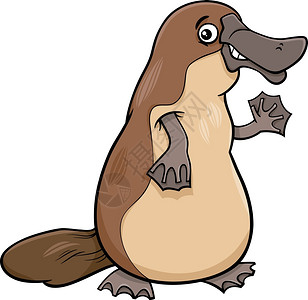 赤琵嘴鸭漫画插图滑稽的白虫或鸭动物插画