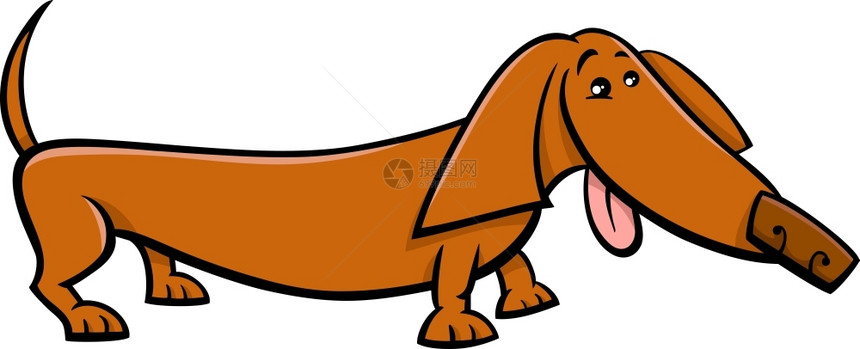 漫画插图滑稽纯种的达赫松狗图片