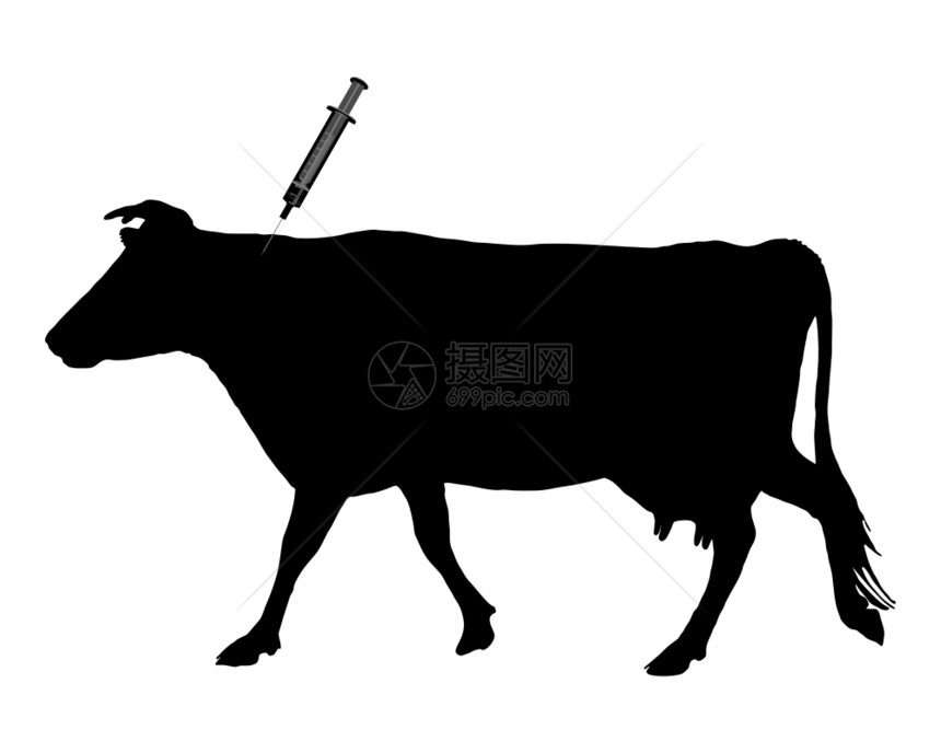 母牛接种了疫苗图片