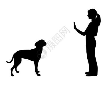 训练狗犬体爱命令停止图片
