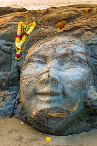 沙滩上Shiva的近面部照片图片