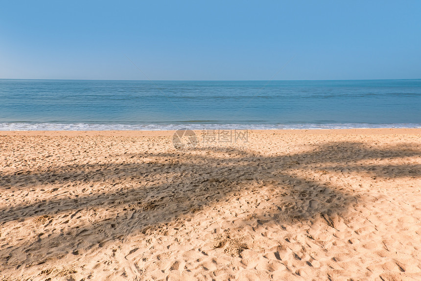沙热带滩椰子棕榈树荫图片