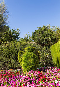 豪华的意大利花园背景图片