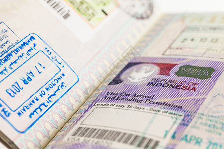 2014年详细信息护照上的印地安签证图片