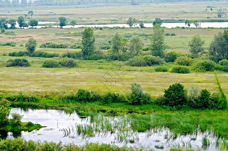两条河流中间是田野和树木高清图片
