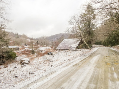 冬季道路旁的积雪图片