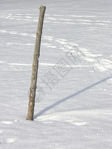 单毛在雪上投下云彩图片