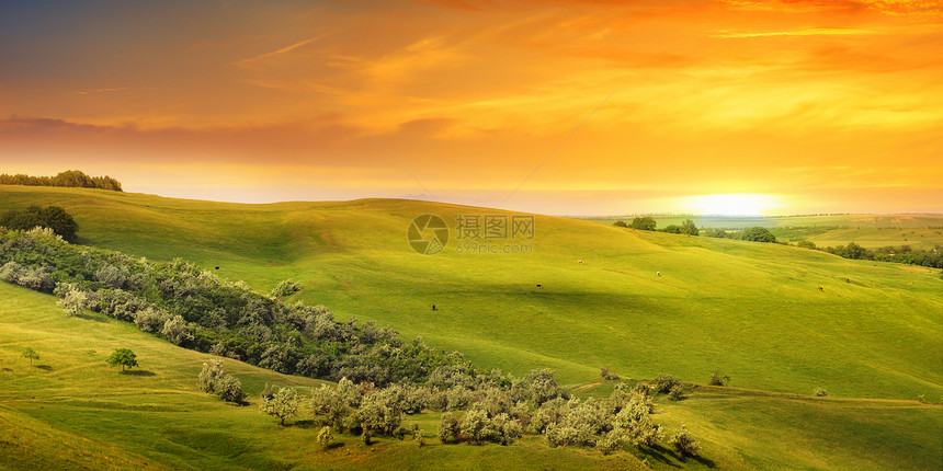 风景田山丘和日出图片