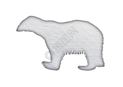 雪中北极熊图片