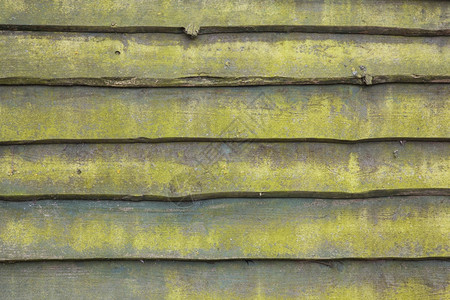 带苔的旧木板模式图片