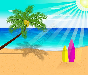 热带海滩配有棕榈树矢量插画背景图片