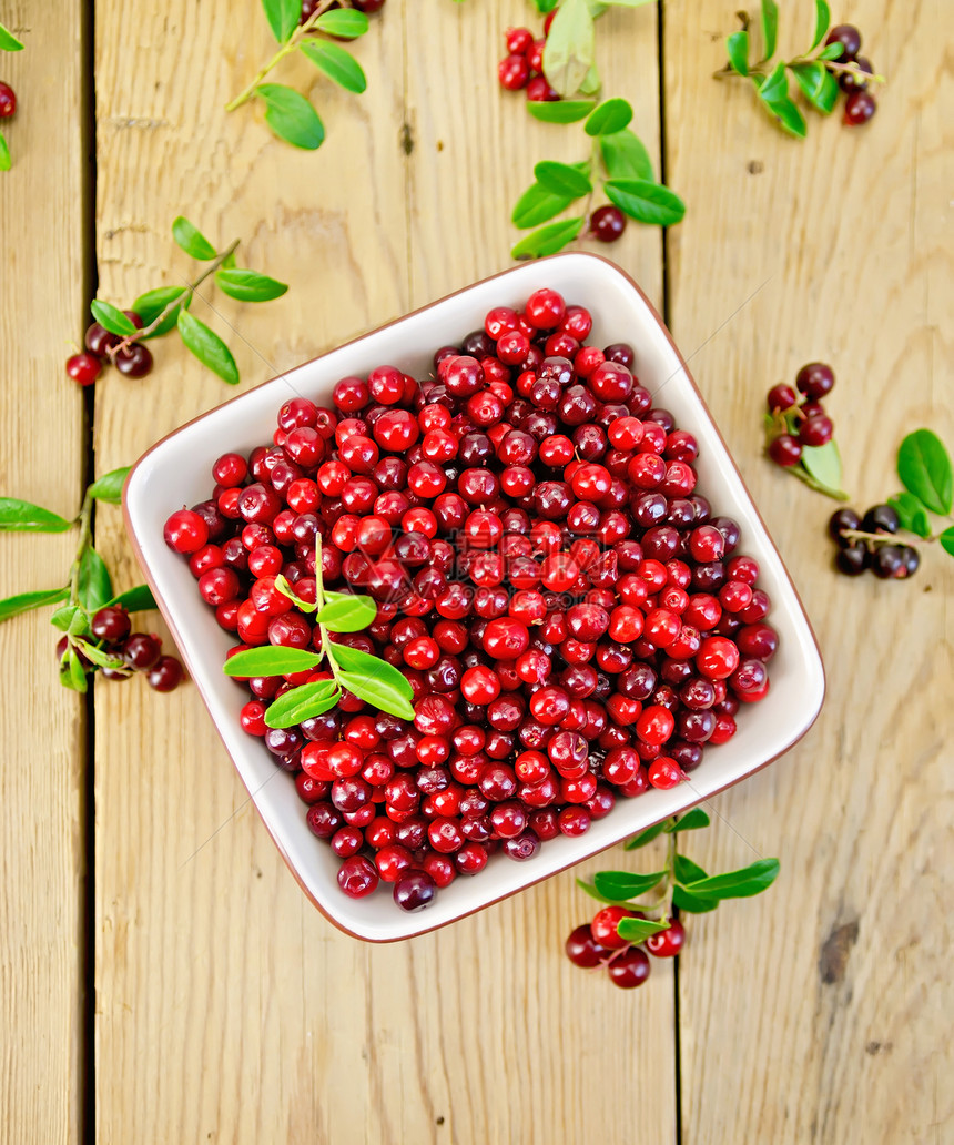 成熟的红色小红莓放在一个碗里里面有浆果和一小枝绿叶背景是木板图片