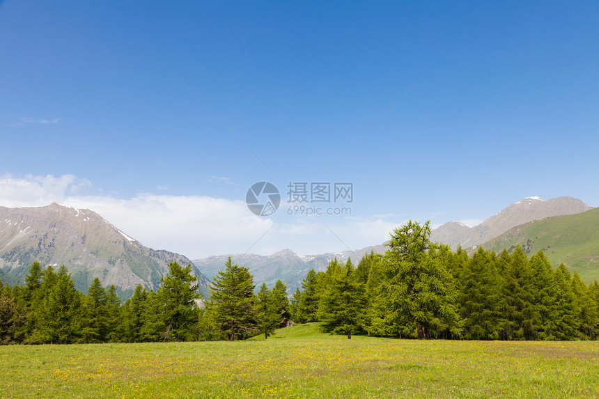 在意大利山高上美丽的景色夏天有森林背景佩德蒙特地区北图片