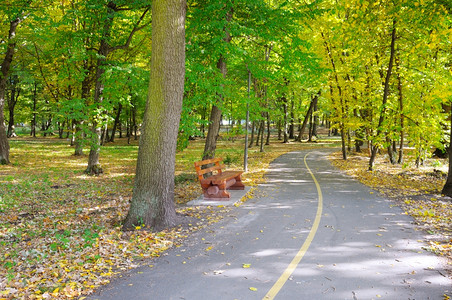 美丽的公园秋天风景图片