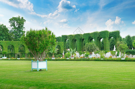 夏天公园的草坪和篱笆背景图片