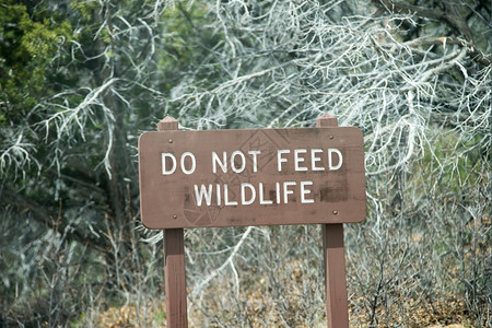 不要喂养野生动物标志图片