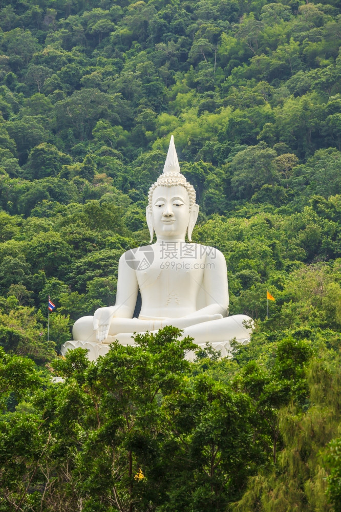 大佛白色在泰国的佛寺在山区和福里斯特克拉特图片