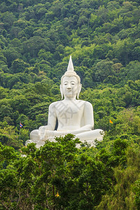 大佛白色在泰国的佛寺在山区和福里斯特克拉特高清图片