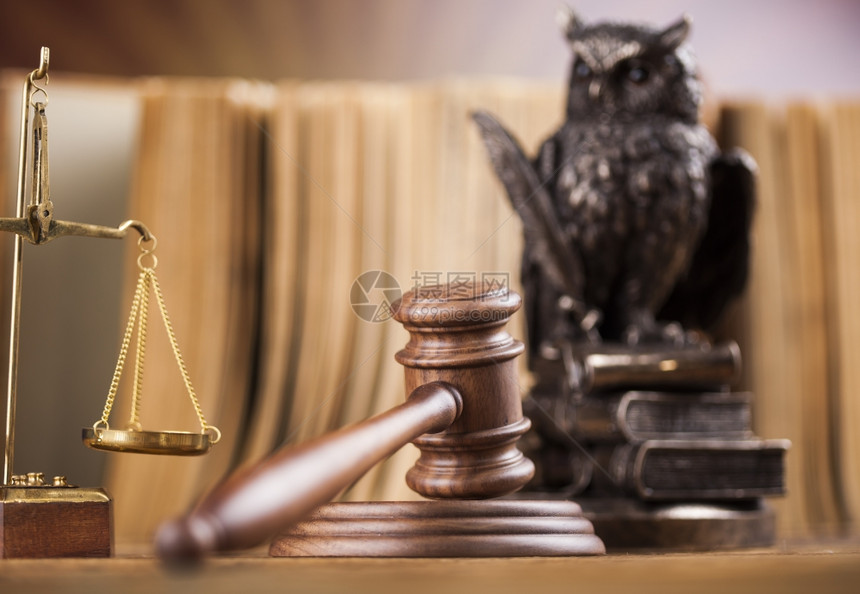 法律概念官大锤中的猫头鹰概念图片
