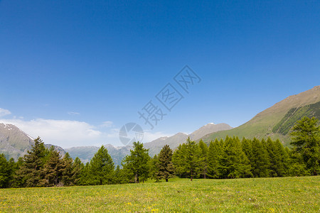 在意大利山高上美丽的景色夏天有森林背景佩德蒙特地区北意大利背景图片