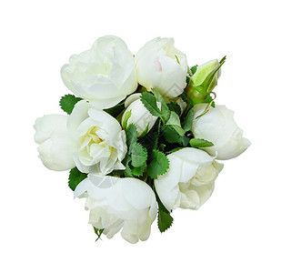白斑的狗玫瑰香花束图片