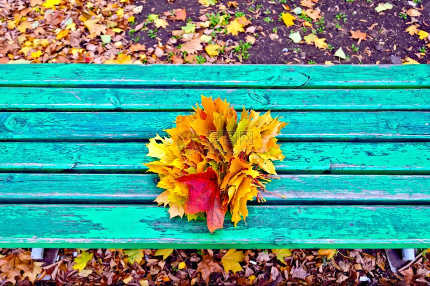 绿色木凳上的秋叶图片